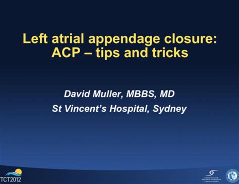 ACP Tutorial 的图像结果