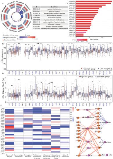 Comprehensive Pan-Cancer Analyses of Pyroptosis-Related Genes to ...