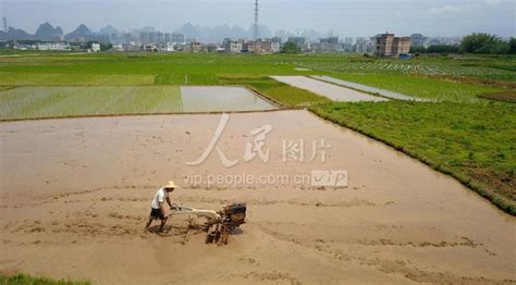 广西贺州：谷雨机耕忙-人民图片网
