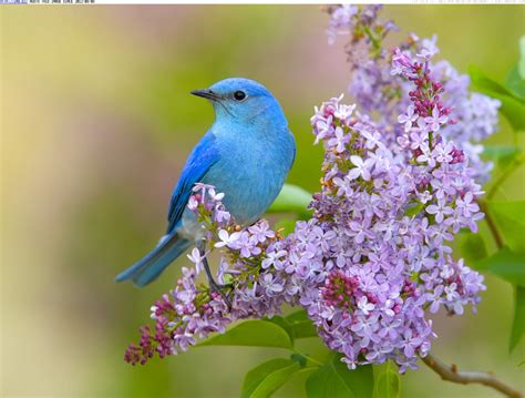 MATLAB Image Processing Tutorial 的图像结果