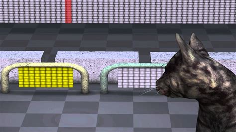 Image result for Quantum Computing Animation