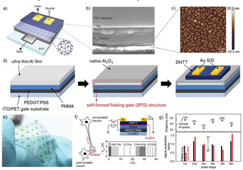 Image result for Flexible Transistor Array