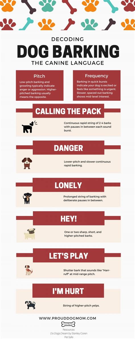 CodeHS Dogs Bark 的图像结果