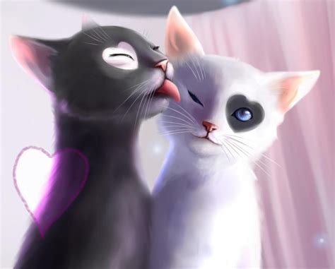cat cartoon love