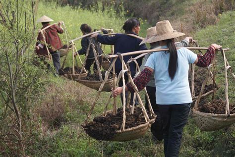 农家肥 的图像结果