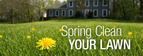 Image result for Spring Lawn Care Tips