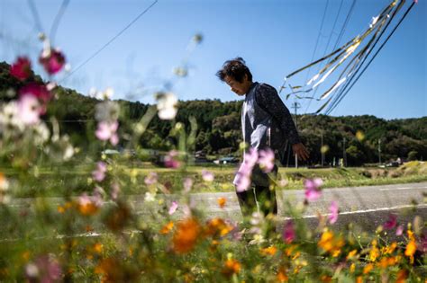 Japan's record number of women MPs still minority