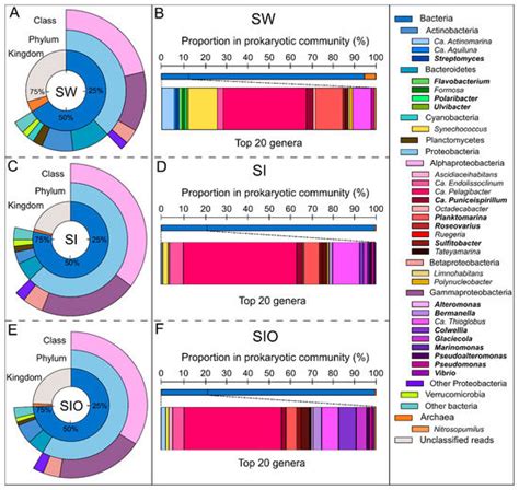 Assessment of Hydrocarbon Degradation Potential in Microbial ...