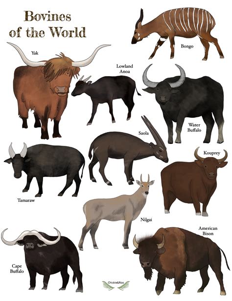 Prep Pack: Bovines of the World - Chickie & Roo Homeschool