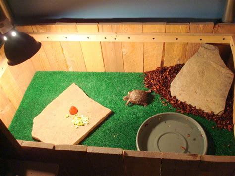 Image result for Box Turtle Homes