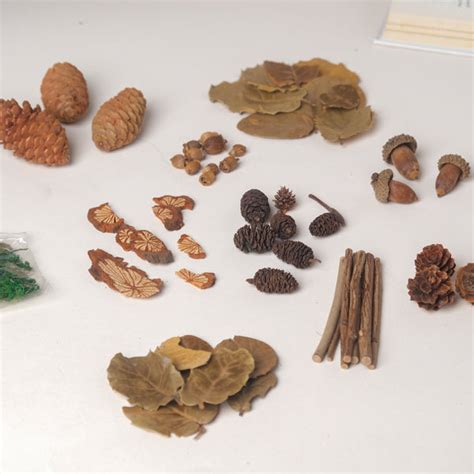 Natural Dried Flowers