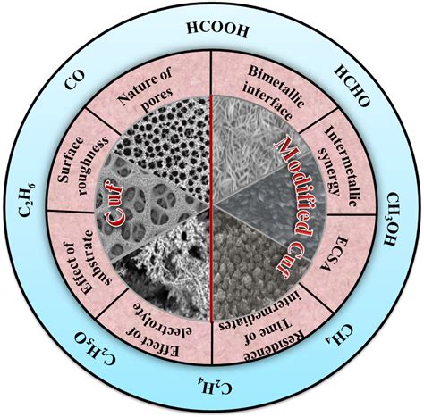 Institute of Nano Science and Technology