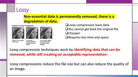 Lossy Data Compression 的图像结果