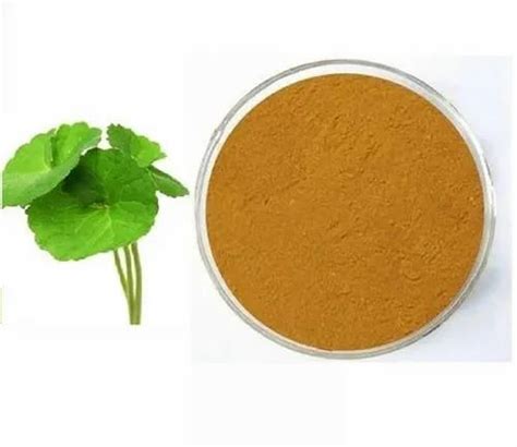 Herbal Extract - Centella Extract 30% Triterpene Service Provider from Pune