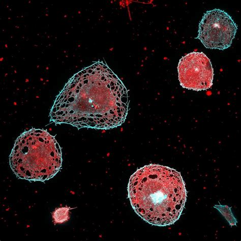 Resolution Microscope 的图像结果