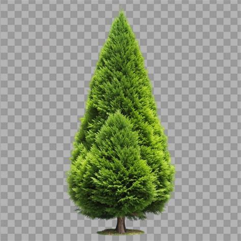 Page 4 | Árbol de tuya PSD, High Quality Free PSD Templates for ...