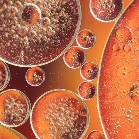 Radiance Face Oil – AMINU