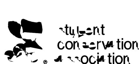 Image result for SCA Fire Protection