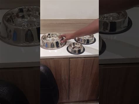 Stainless Steel Feeding Bowl - Stainless Steel Pet Feeding Bowl Trader ...