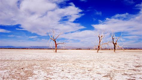 Wallpaper trees, desert, branches, sky, clouds, dry lake hd, picture, image