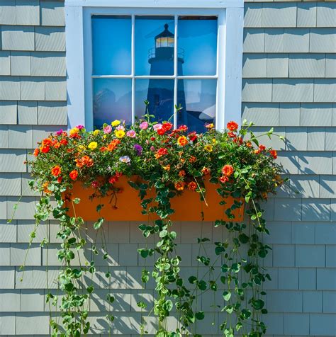 Image result for Homemade Window Box