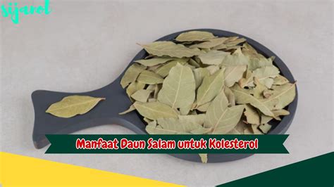 3 Manfaat Daun Salam untuk Kolesterol dan Bagaimana Anda Bisa ...