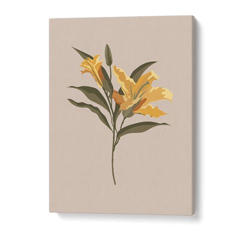 Lily Flower Botanical Art Prints for Elegant Spaces – Asianmonk