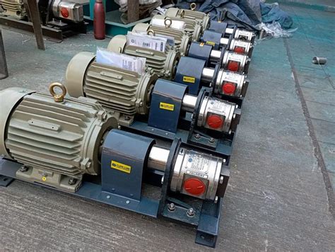 Ss Rotary Gear Pump - Rotary Gear SS 316 Pump Trader - Wholesaler ...