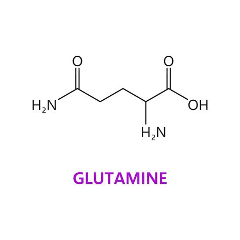 Structure Of Glutamine