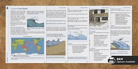 Tsunami Facts Sheet | Geography | Beyond Secondary