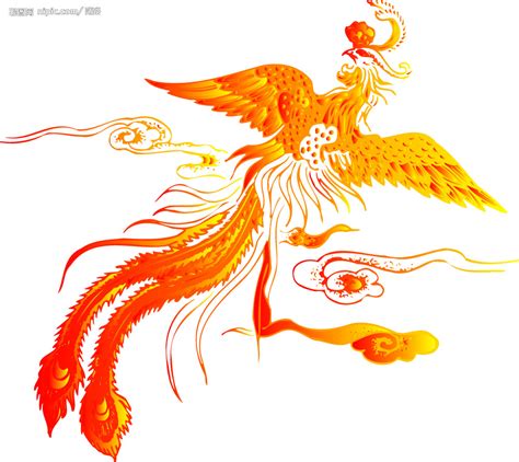 世界上真的有凤凰吗，可能只是古代人刻画出一种吉祥神物 — 探灵网
