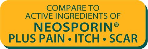 Globe Pharmacy Triple Antibiotic Ointment for Pain, Itch & Scar, 1 ...