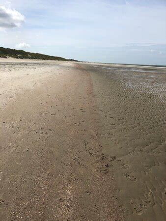 STRANDHOTEL DENNENBOS (Oostkapelle) - Hotel Reviews, Photos, Rate ...