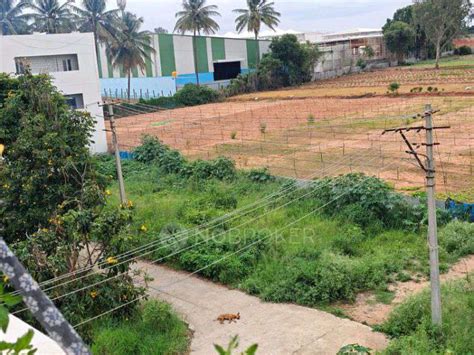 Plot/ Land for Sale in Rampura bangalore @ 55 Lacs - NoBroker
