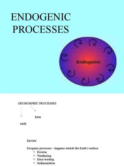 Examples of Endogenic Process 的图像结果