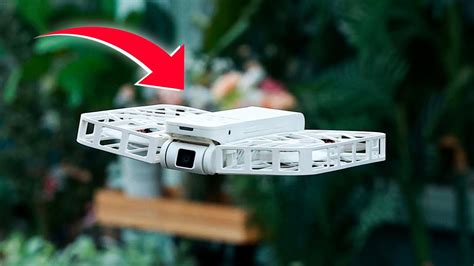 Gadget 的图像结果