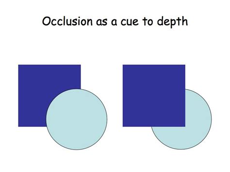 Depth Perception Definition 的图像结果