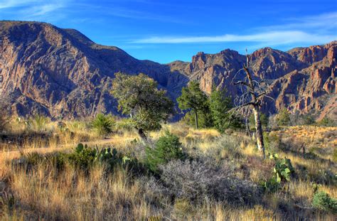 Closer look at the Basin at Big Bend National Park, Texas image - Free ...