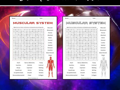 Image result for Muscle Word Search Printable