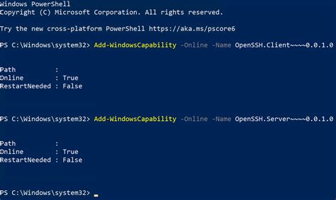 Image result for How to SSH into Something PowerShell