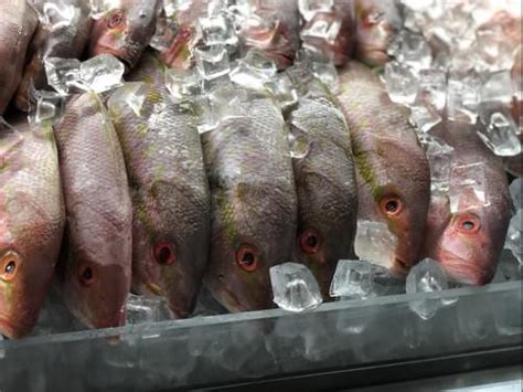 FRESH FISH MARKET - COD Seafood