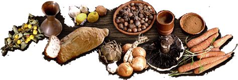 Taste Life Bush Cooking 的图像结果