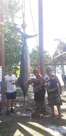 Marlin Queen Fishing Charters (Rarotonga) - 2021 What to Know Before ...