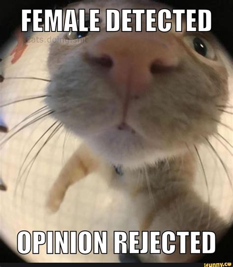 FEMALE DETECTED OPINION REJECTED - iFunny
