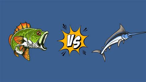 The Best Fishing Line Types Explained