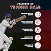 TENNEX Premier Cricket Hard Tennis Ball for Over Arm Cricket | Heavy ...