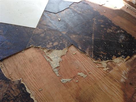 Remove Adhesive Glue Off Wood Floor | Floor Roma