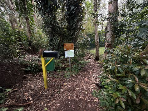 Hiking the Wahiawā Hills Trail on Oʻahu — noahawaii