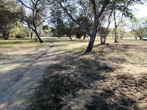Rehab in Bezuidenhout Park
