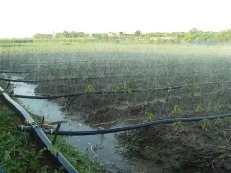 灌溉滴灌系统设备怎样进行维护保养